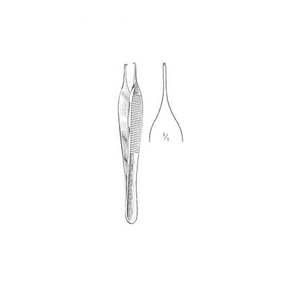 PINZA ADSON GARRA 12 CM DIMEDA