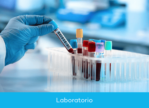 laboratorio_saluti